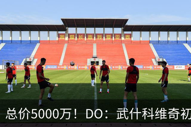 总价5000万！DO：武什科维奇初始转会费4600万镑，热刺有二转分成
