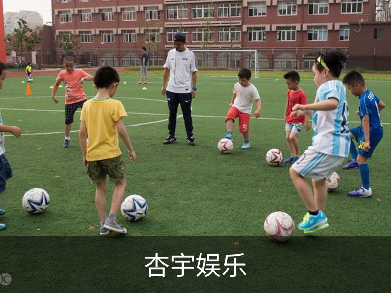 杏宇娱乐简介