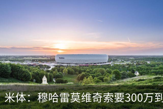 米体：穆哈雷莫维奇索要300万到400万欧税后年薪，尤文认为太高